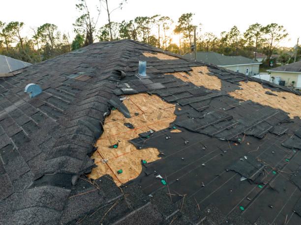 Best Rubber Roofing (EPDM, TPO)  in Ormond Beach, FL